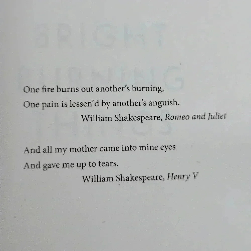BRIGHT BURNING THINGS Lisa Harding Hardcover Novel Book New - Picture 6 of 6
